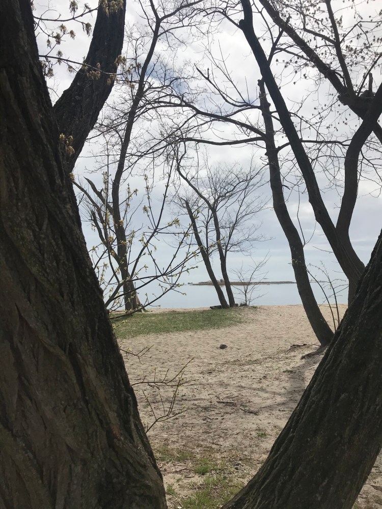 06684AC2-FC5E-4B0A-A660-EB345603AC99