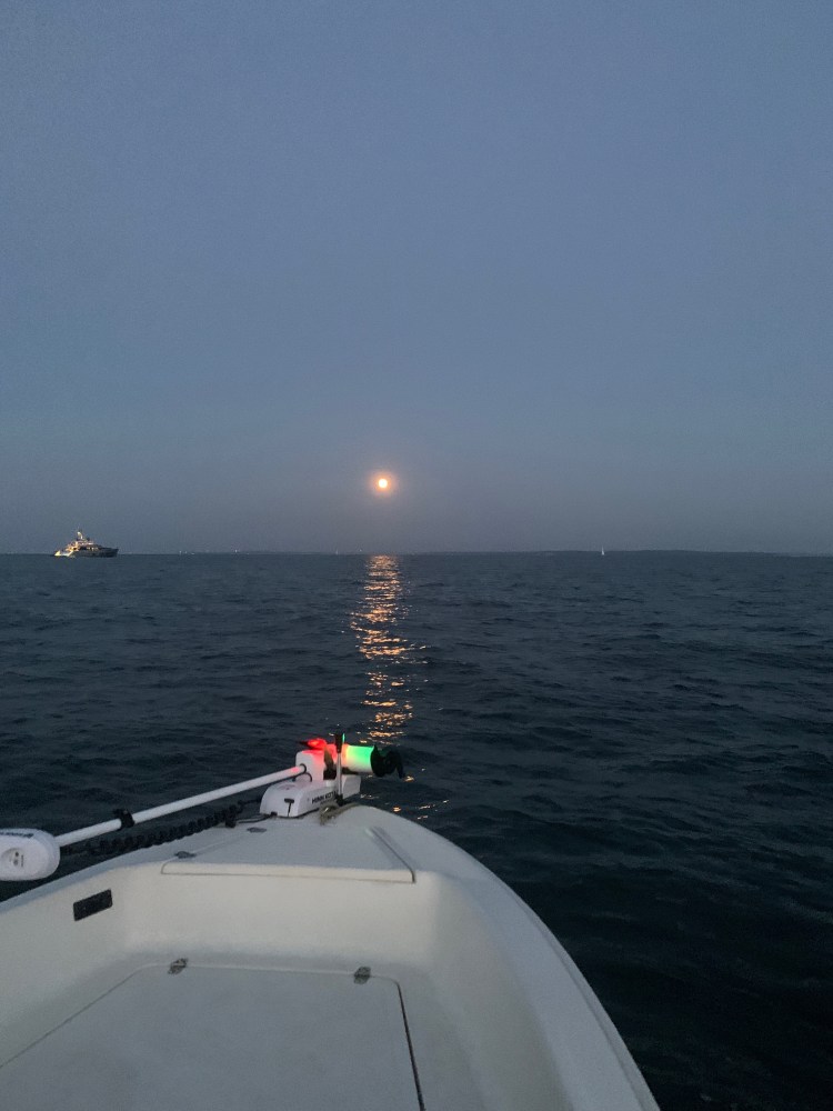 61560354784__586d60cc-da7b-4f65-a4fa-e684b50a786e